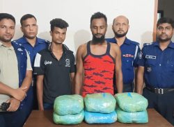 কাশিয়ানীতে ৯ কেজি গাঁজাসহ  দুই ভাই আটক