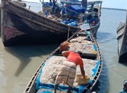 বঙ্গোপসাগরে গভীর নিম্নচাপ,বন্দরে ০৩ নম্বর সতর্কতা সংকেত।।