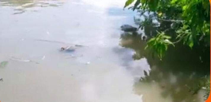 পটুয়াখালী জেলার বাউফল উপজেলায় আঃ রাজ্জাক খলিফা (৭০) নামে এক বৃদ্ধার ভাসমান লাশ উদ্ধার করেছে নৌ-পুলিশ। 