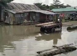 য়াকাটায় বেড়িবাঁধ নির্মাণে সংরক্ষিত বনের বালু উত্তোলন, হুমকিতে সবুজ বেষ্টনী। 