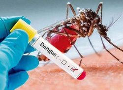 ডেঙ্গুতে আরো ৬ জনের মৃত্যু, হাসপাতালে ১২৯৮