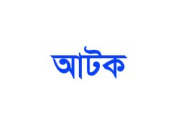 যৌথবাহিনীর অভিযানে খুলনায়  অস্ত্রসহ আটক ১
