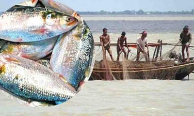 ১৩ অক্টোবর থেকে ২২ দিন ইলিশ ধরায় নিষেধাজ্ঞা