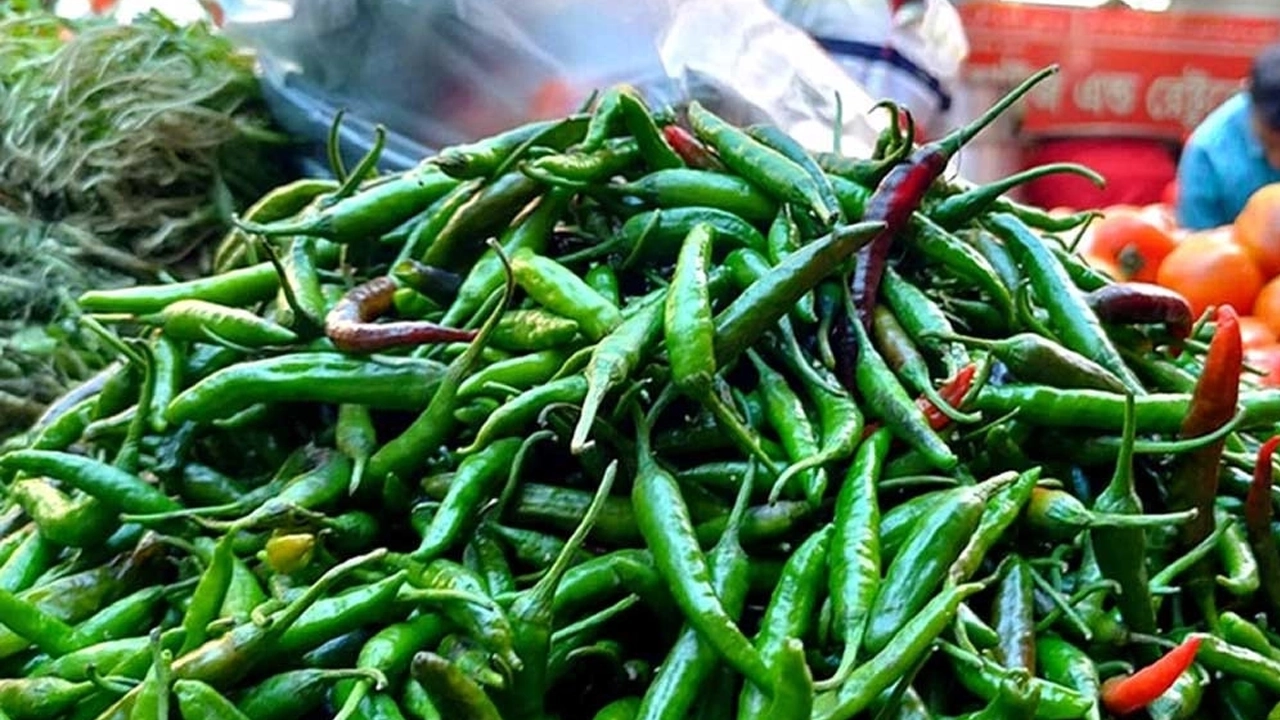 একদিনেই হিলিতে কাঁচামরিচের দাম কমেছে ১৬০ টাকা