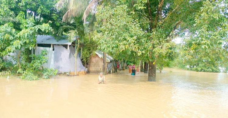 নেত্রকোনায় বন্যায় সড়কে ক্ষতি প্রায় ২০০ কোটি টাকা