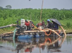 কাশিয়ানীতে ফসলি জমি থেকে অবৈধ ভাবে মেশিন দিয়ে বালু উত্তলন।