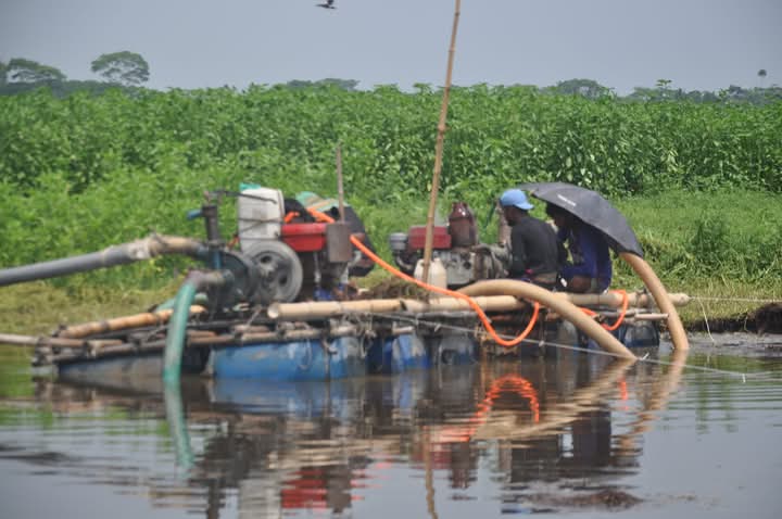 কাশিয়ানীতে ফসলি জমি থেকে অবৈধ ভাবে মেশিন দিয়ে বালু উত্তলন।