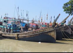 আগামীকাল মধ্যরাতে শেষ হচ্ছে মাছ ধরার নিষেধাজ্ঞা, সাগরে যেতে প্রস্তুতিতে ব্যস্ত জেলেরা।। 