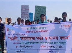 কলাপাড়ায় নানা আয়োজনে বিশ্ব শিশু দিবস পালিত।