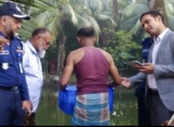 মোল্লাহাটে মৎস্য অফিসের মাধ্যমে মাছের পোনা অবমুক্ত।