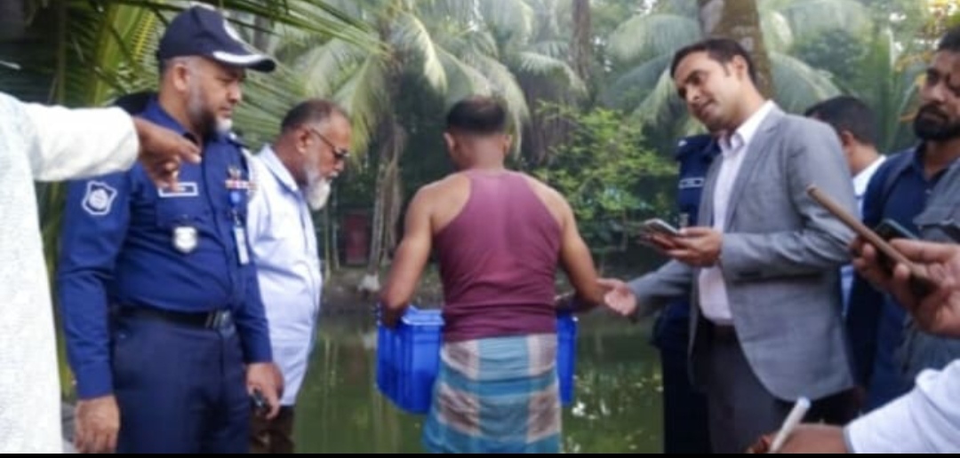 মোল্লাহাটে মৎস্য অফিসের মাধ্যমে মাছের পোনা অবমুক্ত।