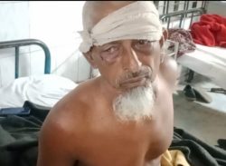 পটুয়াখালীতে জমি জমাকে কেন্দ্র করে আপন চাচা,চাচাতো ভাইকে হত্যার চেষ্টা।