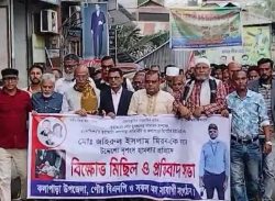 সাংবাদিক হামলার প্রতিবাদে কলাপাড়ায় বিএনপি’র বিক্ষোভ মিছিল  ও প্রতিবাদ সমাবেশ।। 