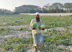 কলাপাড়ায় আগাম তরমুজে বাম্পার ফলন ৩ লাখ টাকা ব্যায়ে বিক্রি ৬ লাখ ৫৫ হাজার