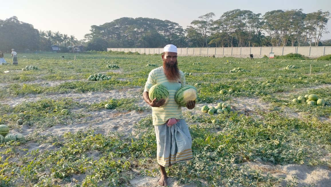 কলাপাড়ায় আগাম তরমুজে বাম্পার ফলন ৩ লাখ টাকা ব্যায়ে বিক্রি ৬ লাখ ৫৫ হাজার
