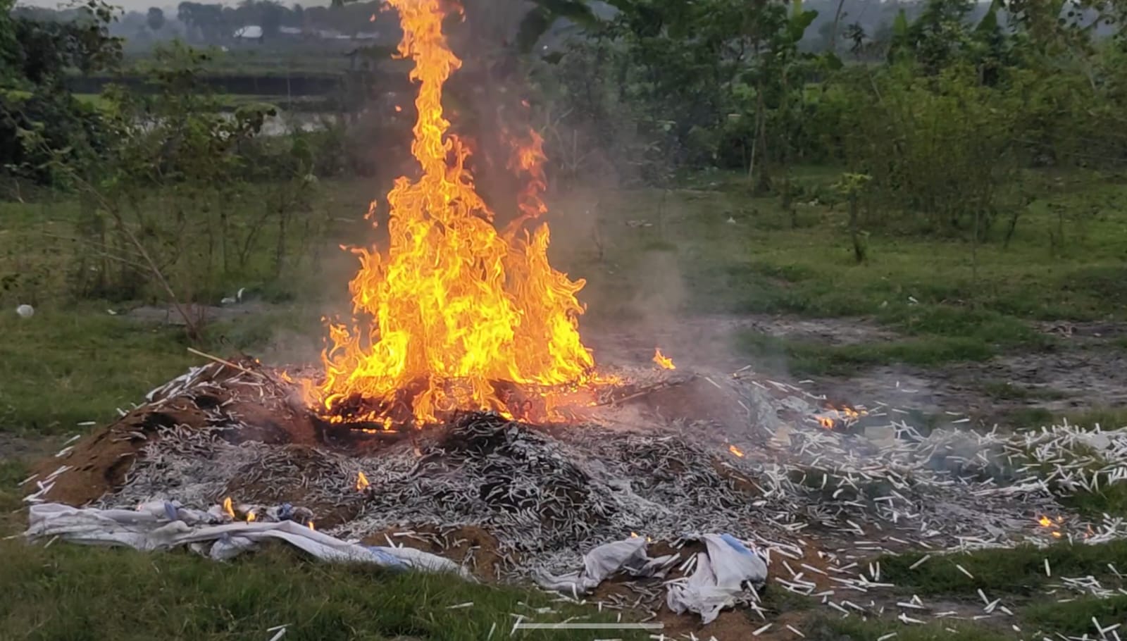 মোল্লাহাটে ২০ বস্তা তামাক সহ বিড়ি তৈরির সরঞ্জাম জব্দ।