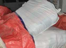 পটুয়াখালীতে সাবেক মহিলা এমপির লুকানো কম্বল লুটে নিলো ছাত্রদল নেতা বাবু।