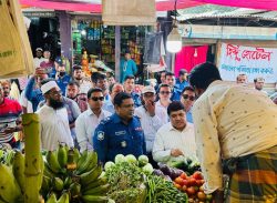 লক্ষ্মীপুরে বাজার মনিটরিং, প্রসাশনের টাস্কফোর্স টিম