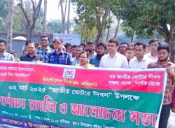 মোল্লাহাটে জাতীয় ভোটার দিবস উদযাপিত।