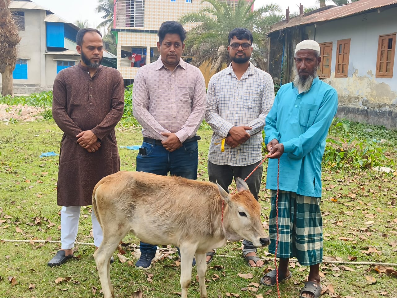 কলাপাড়ায় বিকল্প কর্মসংস্থানের লক্ষ্যে জেলেদের মাঝে বকনা বাছুর বিতরণ।।
