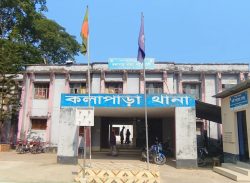 কলাপাড়ায় এক রাতে চার বাড়ীতে চুরি।। আতংকে মানুষ।।