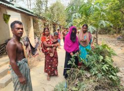 কলাপাড়ায় উচ্ছেদ আতঙ্কে দরিদ্র সাত পরিবার।। সরকারি আবাসন ভাঙ্গার হুমকি বিএনপি নেতার।। 