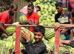 কলাপাড়ায় তরমুজের বাম্পার ফলনেও হাসি নেই কৃষকের মুখে।ট্রাকে লোড এবং বিক্রীতেও দিতে হচ্ছে চাঁদা।।