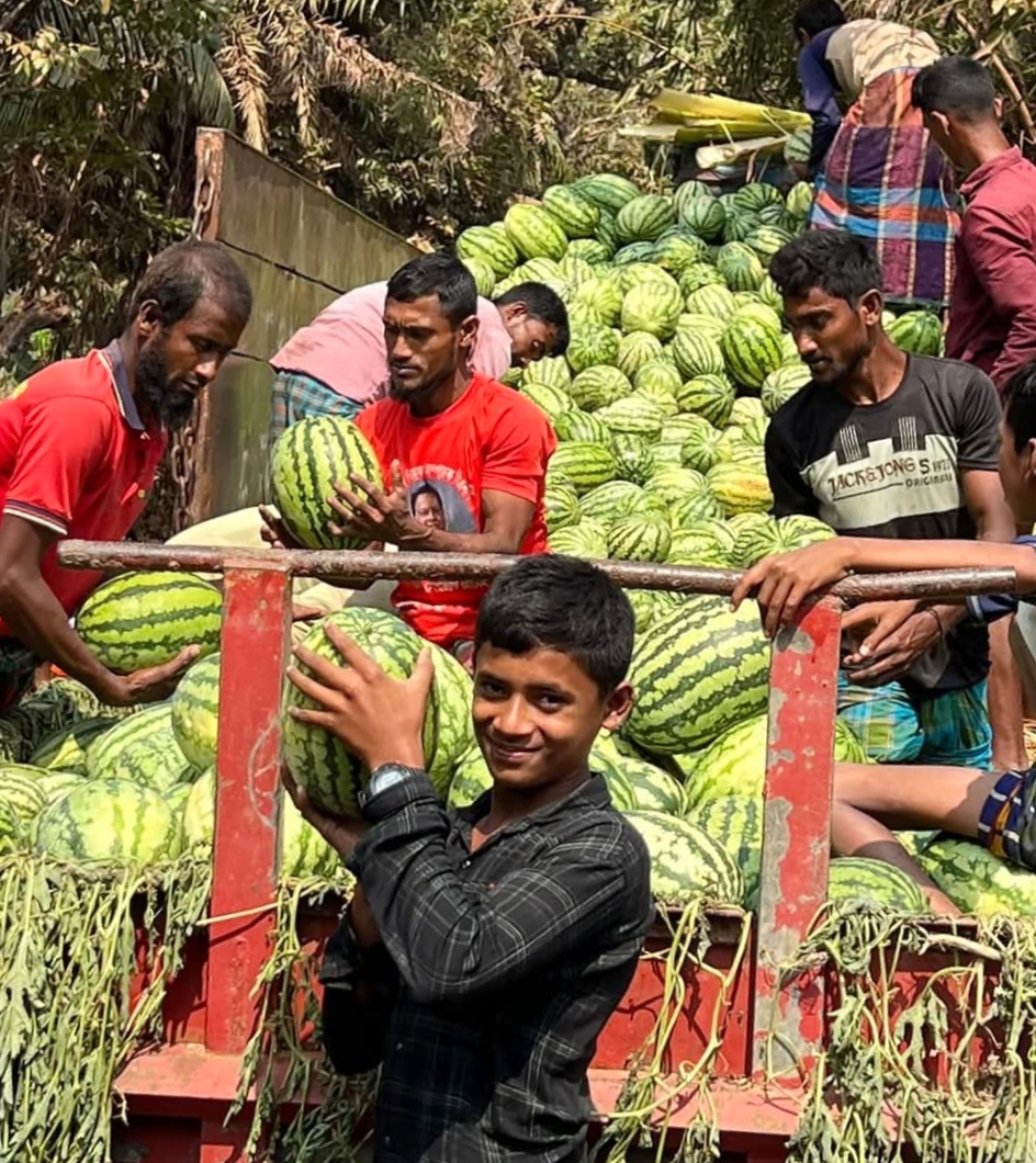 কলাপাড়ায় তরমুজের বাম্পার ফলনেও হাসি নেই কৃষকের মুখে।ট্রাকে লোড এবং বিক্রীতেও দিতে হচ্ছে চাঁদা।।