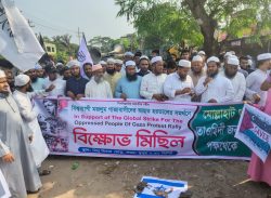 মোল্লাহাটে ইজরাইলি আগ্রাসনের বিরুদ্ধে বিক্ষোভ মিছিল অনুষ্ঠিত।