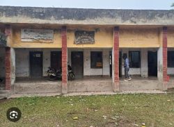 মোল্লাহাট সেটেলমেন্ট অফিসারের বিরুদ্ধে ভূমি জরিপ বাণিজ্যের অভিযোগ।