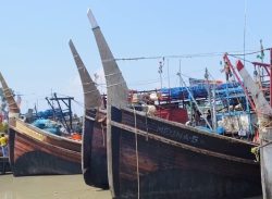 ভারতের সাথে মিল রেখে মধ্যরাত থেকে বঙ্গোপসাগরে মাছ ধরার ৫৮ দিনের নিষেধাজ্ঞা।।