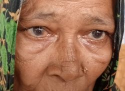 জমিজমা সংক্রান্ত বিরোধে বৃদ্ধ মা’কে পেটালেন ছেলে।