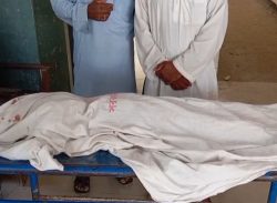 কলাপাড়ায় পর্যটকবাহী মাইক্রোবাসের চাপায় শিশু নিহত/