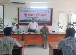কলাপাড়ায় পতিত জমি ও বসতবাড়ির আঙ্গিনায় পুষ্টিবাগান বিষয়ক প্রশিক্ষণ