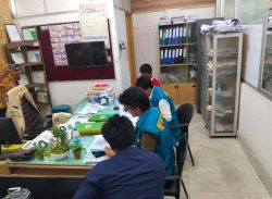 লক্ষ্মীপুর বিআরটিএ কার্যালয়ে দুদকের অভিযান, মিলেছে অভিযোগের সত্যতা