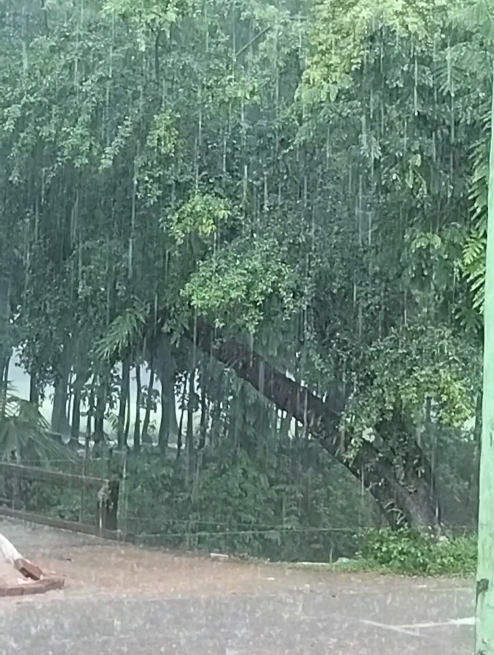 বঙ্গোপসাগরে নিম্নচাপ,লক্ষ্মীপুর-ভোলা-বরিশাল নৌরুটে লঞ্চ ও ফেরি চলাচল বন্ধ