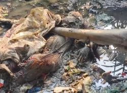 কলাপাড়ায় খাল থেকে অজ্ঞাত নারীর লাশ উদ্ধার/