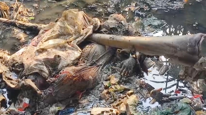 কলাপাড়ায় খাল থেকে অজ্ঞাত নারীর লাশ উদ্ধার/