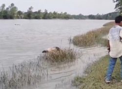 কলাপাড়ায় নদী থেকে ভাসমান লাশ উদ্ধার/