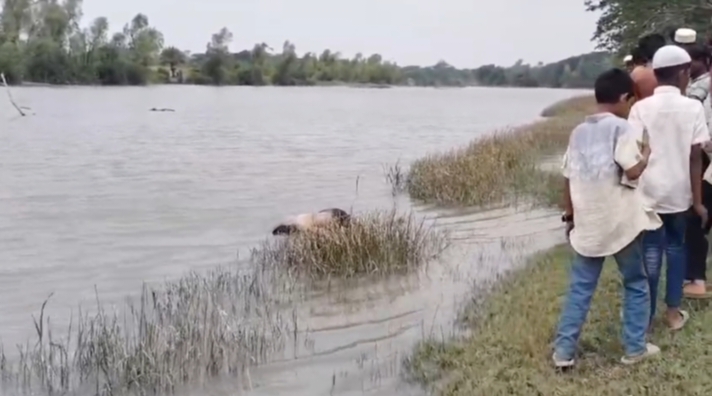 কলাপাড়ায় নদী থেকে ভাসমান লাশ উদ্ধার/