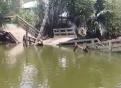 কলাপাড়ায় হঠাৎ বিকট শব্দে সেতু ভেঙ্গে খালে।। ভোগান্তিতে ১৫ গ্রামের ১৫ হাজার মানুষ/