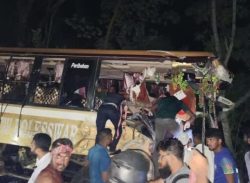 কাশিয়ানীতে বাস-ট্রাক মুখোমুখি সং’ঘ’র্ষে ট্রাকচালকসহ নি’হ’ত-২, আ’হ’ত-২০