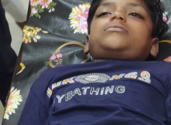 আম পাড়তে গিয়ে শিশুর মর্মান্তিক মৃত্যু।