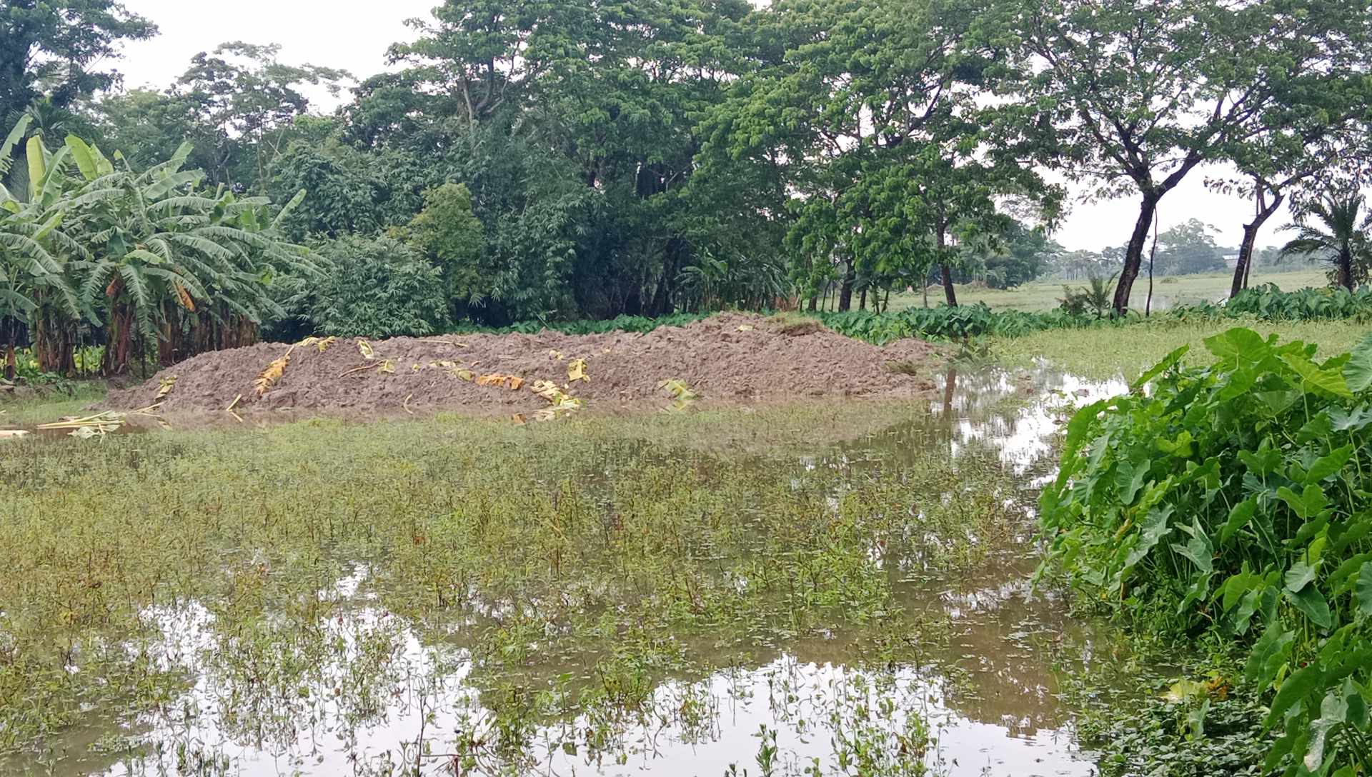পটুয়াখালী’র লোহালিয়ায় গভীর রাতে ভেকু দিয়ে জমি দখলের অভিযোগ জাকির গাজীর বিরুদ্ধে।