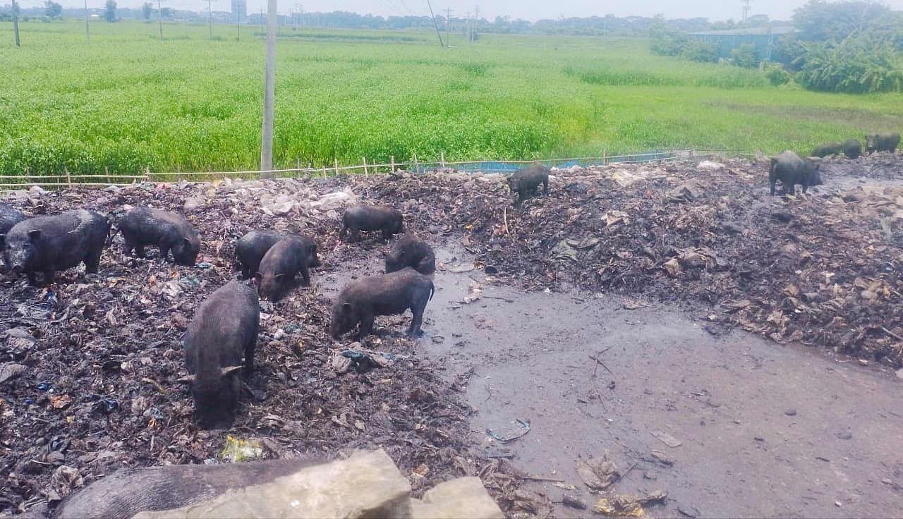 ফ্লাই ওভারের  পাশেই ময়লার ভাগাড়, দুর্গন্ধে অতিষ্ঠ স্থানীয়রা,