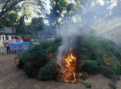 কাশিয়ানীতে ৫ লক্ষ টাকার চায়না দুয়ারি জাল জব্দ 