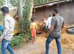 মোল্লাহাটে সড়ক দুর্ঘটনায় নিহত -১