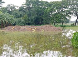 পটুয়াখালীতে গভীর রাতে ব্যাকুদিয়ে জমি দখলও বসতঘড় তোলার পায়তারা, ভুক্তভোগীর ৯৯৯ এ কল অতপর পুলিশ।