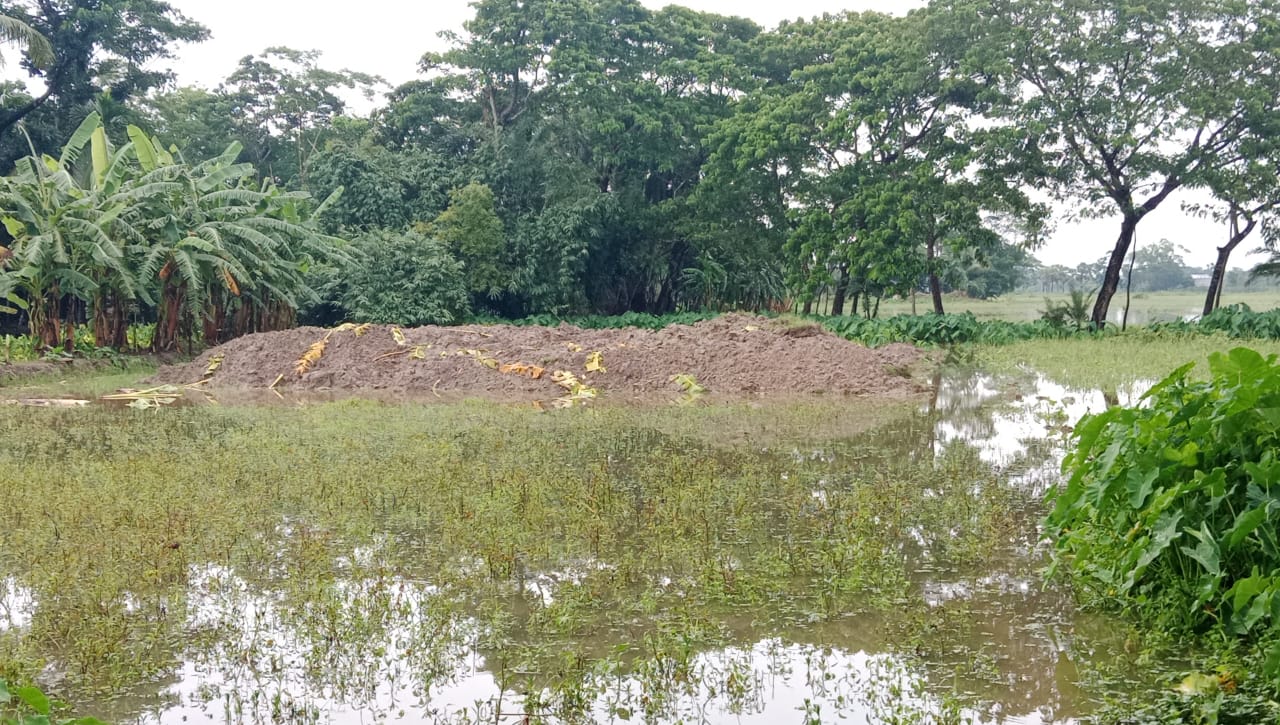 পটুয়াখালীতে গভীর রাতে ব্যাকুদিয়ে জমি দখলও বসতঘড় তোলার পায়তারা, ভুক্তভোগীর ৯৯৯ এ কল অতপর পুলিশ।