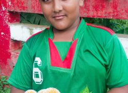 বর্ষার ফুল কদম